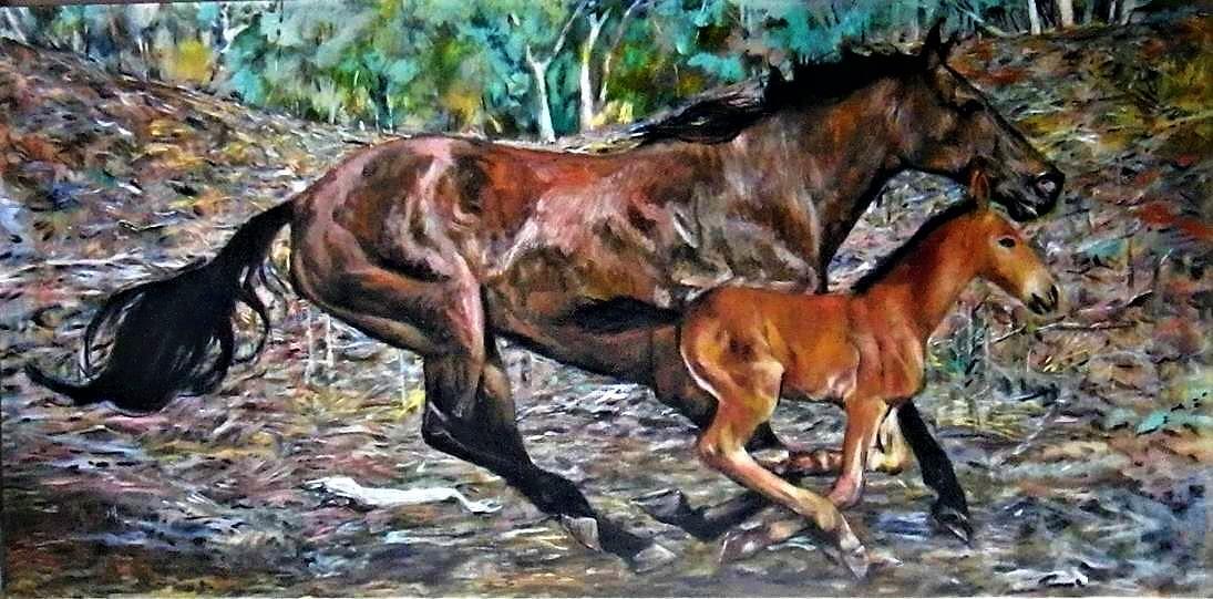 horse443