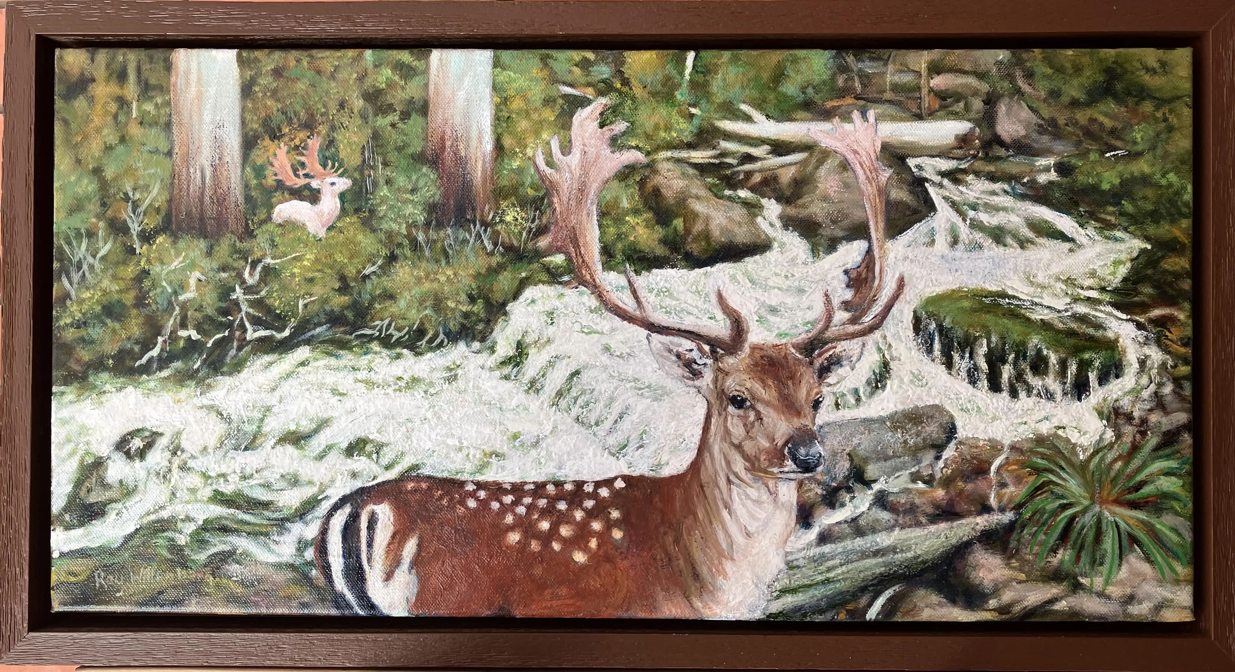 Fallow Stag, winter rapids, Park Creek 2 (Edit)